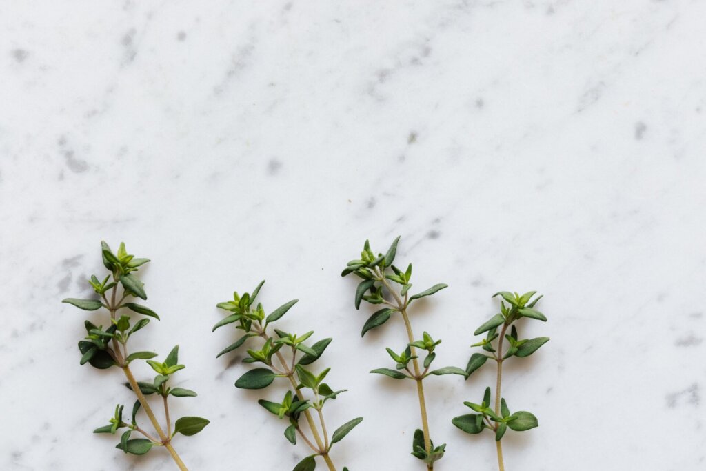 Thyme Herb for Psychic Abilities